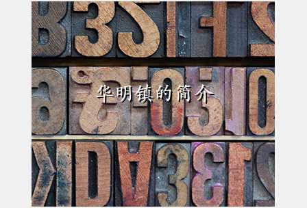华明镇的简介