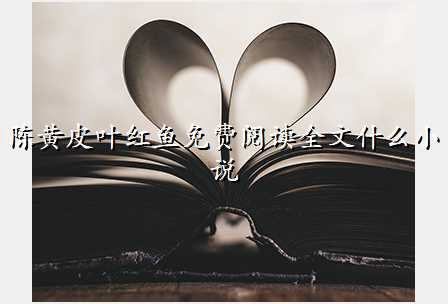 陈黄皮叶红鱼免费阅读全文什么小说