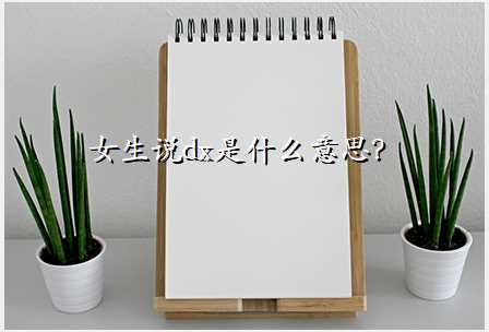 女生说dx是什么意思?