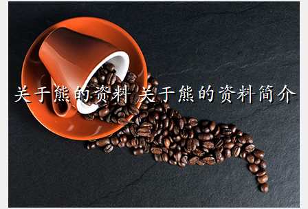 关于熊的资料 关于熊的资料简介