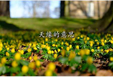 天缘的意思