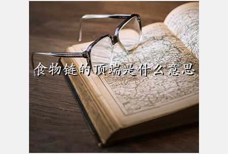 食物链的顶端是什么意思