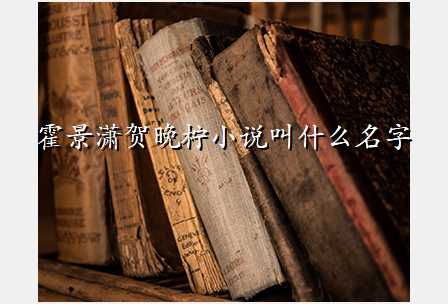 霍景潇贺晚柠小说叫什么名字