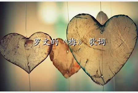 罗文的《梅》 歌词