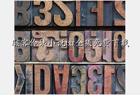 骇客伶姨小说txt全集免费下载