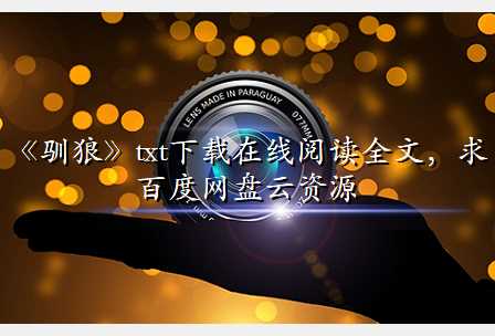《驯狼》txt下载在线阅读全文,求百度网盘云资源