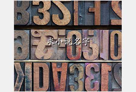 求小说名字