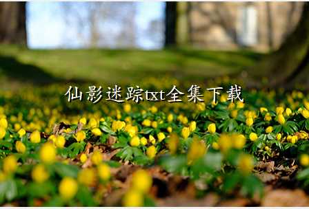 仙影迷踪txt全集下载