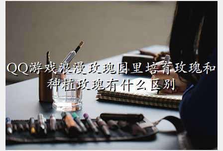 QQ游戏浪漫玫瑰园里培育玫瑰和种植玫瑰有什么区别