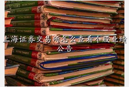 上海证券交易所怎么查看个股业绩公告