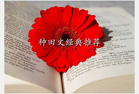 种田文经典推荐