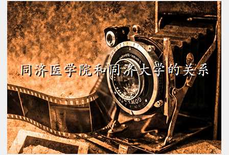 同济医学院和同济大学的关系