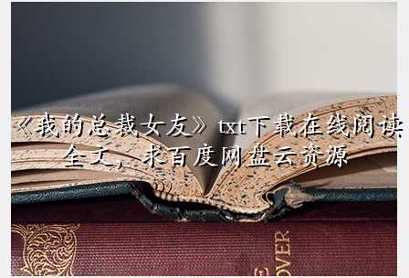 《我的总裁女友》txt下载在线阅读全文,求百度网盘云资源