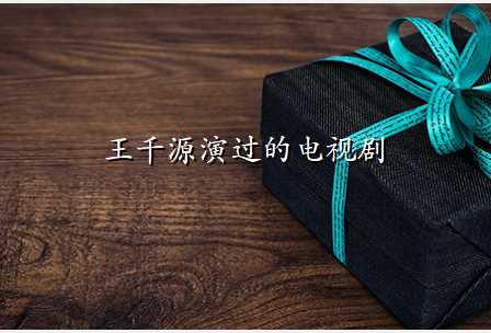 王千源演过的电视剧