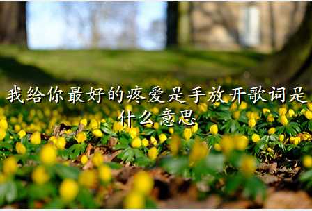 我给你最好的疼爱是手放开歌词是什么意思