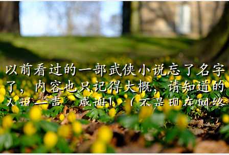以前看过的一部武侠小说忘了名字了,内容也只记得大概,请知道的人说一声,感谢!(不是现在网络上的小说