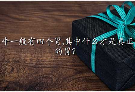 牛一般有四个胃,其中什么才是真正的胃?