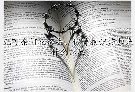 无可奈何花落去,似曾相识燕归来 什么意思
