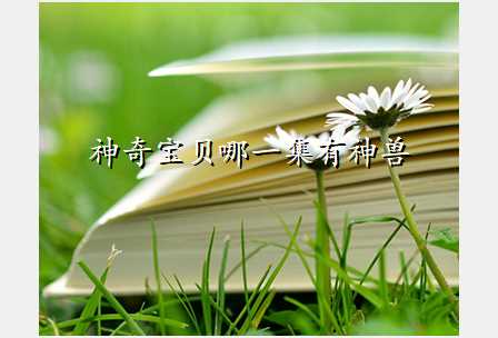 神奇宝贝哪一集有神兽