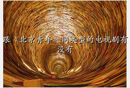 跟《北京青年》同类型的电视剧有没有