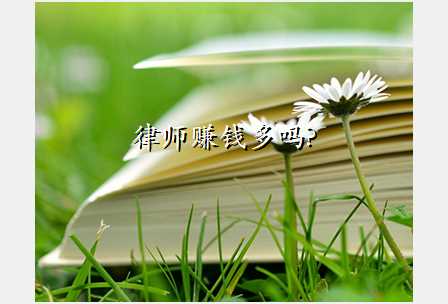 律师赚钱多吗?