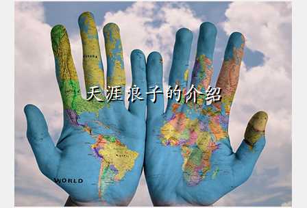 天涯浪子的介绍